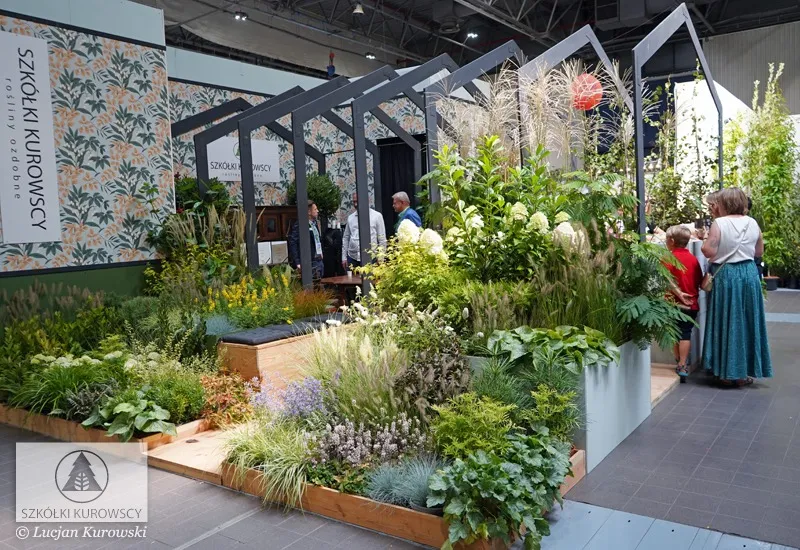 Stādaudzētavas teritorija